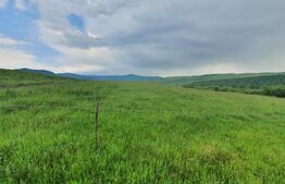 Teren extravilan, 2,5 ha, Dorolea