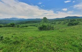 Teren extravilan, 2,5 ha, Dorolea