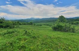 Teren extravilan, 2,5 ha, Dorolea