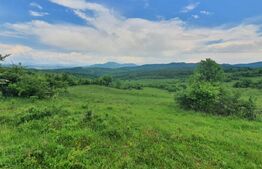 Teren extravilan, 2,5 ha, Dorolea