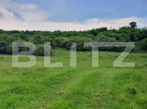 Teren de vânzare Periferie - 143571TV | BLITZ Bistriţa | Poza6