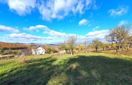 Teren intravilan 38 ari, cartierul Raal 