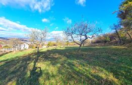 Teren intravilan 38 ari, cartierul Raal 