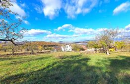 Teren intravilan 38 ari, cartierul Raal 