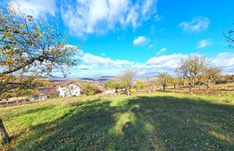 Teren intravilan 38 ari, cartierul Raal 