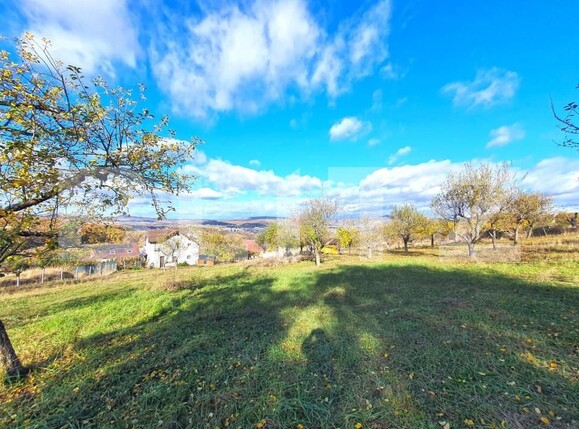 Teren de vânzare Exterior Sud - 143573TV | BLITZ Bistriţa | Poza3