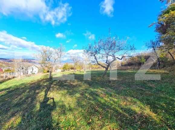 Teren de vânzare Exterior Sud - 143573TV | BLITZ Bistriţa | Poza1