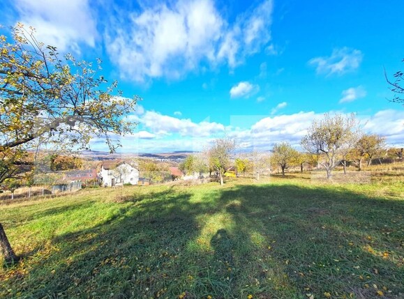 Teren de vânzare Exterior Sud - 143573TV | BLITZ Bistriţa | Poza3