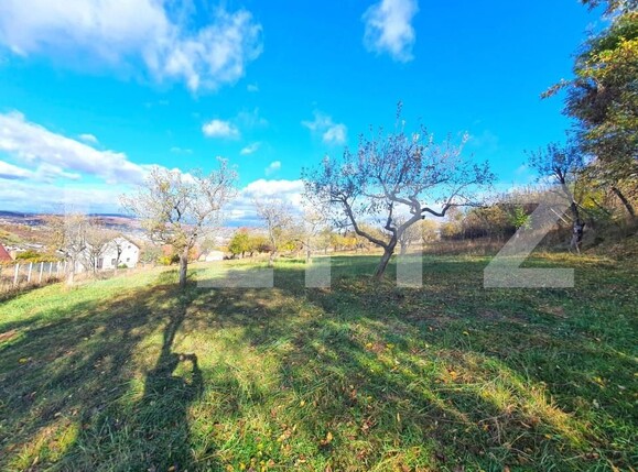 Teren de vânzare Exterior Sud - 143573TV | BLITZ Bistriţa | Poza1