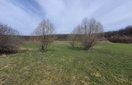 Teren de vanzare extravilan, 1ha, drumul Sigmirului 