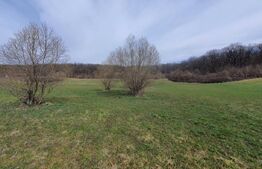 Teren de vanzare extravilan, 1ha, drumul Sigmirului 