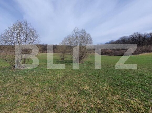 Teren de vânzare Centura - 143580TV | BLITZ Bistriţa | Poza3
