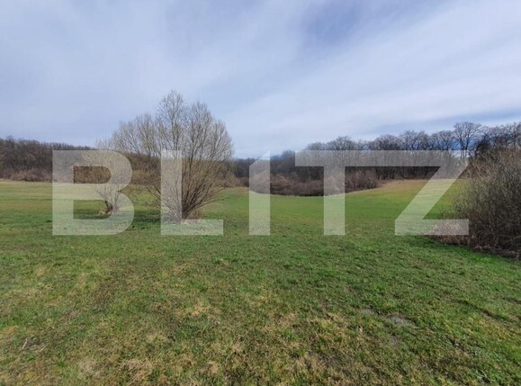 Teren de vânzare Centura - 143580TV | BLITZ Bistriţa | Poza2