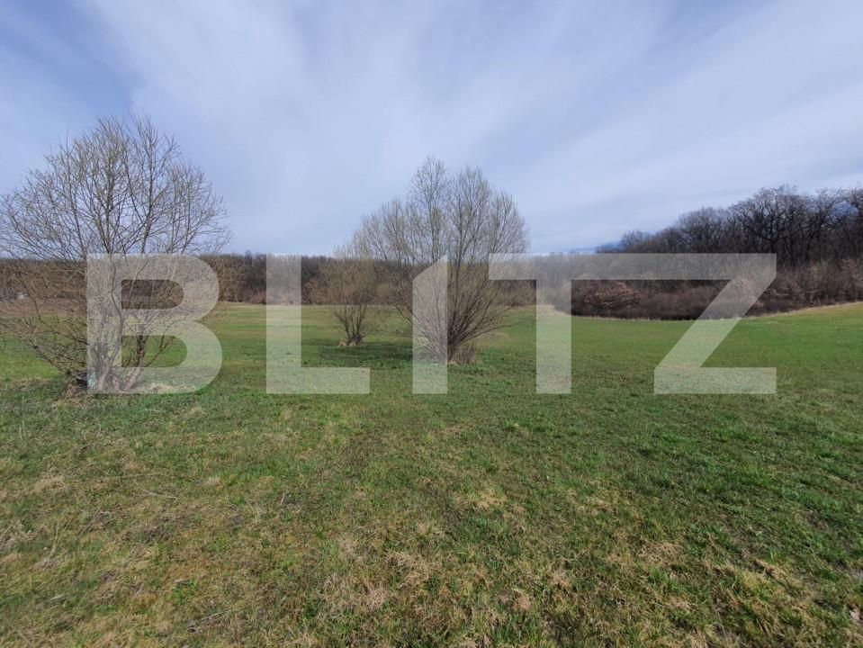 Teren de vânzare Centura - 143580TV | BLITZ Bistriţa | Poza3