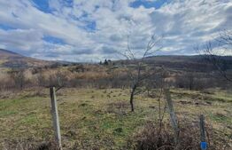 Teren extravilan, peste 80 de ari de vanzare in Bistrita, pe Valea Ghinzii! 