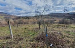 Teren extravilan, peste 80 de ari de vanzare in Bistrita, pe Valea Ghinzii! 