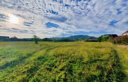 Teren intravilan 2400 mp, zona Centurii 