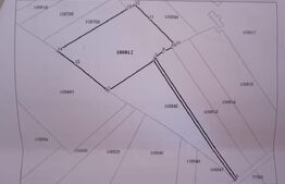 Teren extravilan, 60 ari, zona Lempes