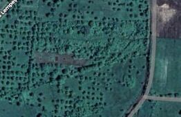 Teren extravilan, 60 ari, zona Lempes