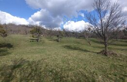 Teren extravilan, 60 ari, zona Lempes