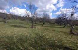 Teren extravilan, 60 ari, zona Lempes