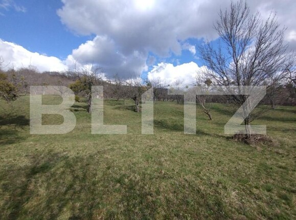 Teren de vânzare Exterior Est - 143591TV | BLITZ Bistriţa | Poza2