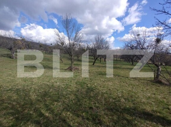 Teren de vânzare Exterior Est - 143591TV | BLITZ Bistriţa | Poza1