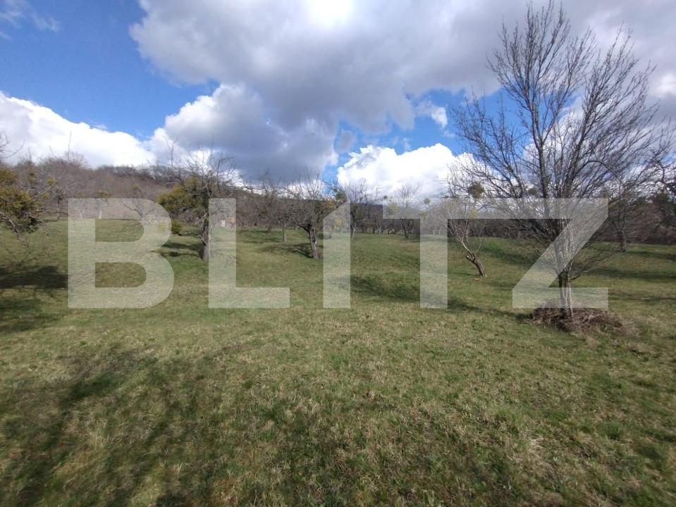 Teren de vânzare Exterior Est - 143591TV | BLITZ Bistriţa | Poza2