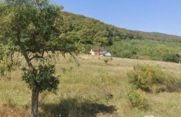 Teren Extravilan, 1300 mp, zona Viisoara