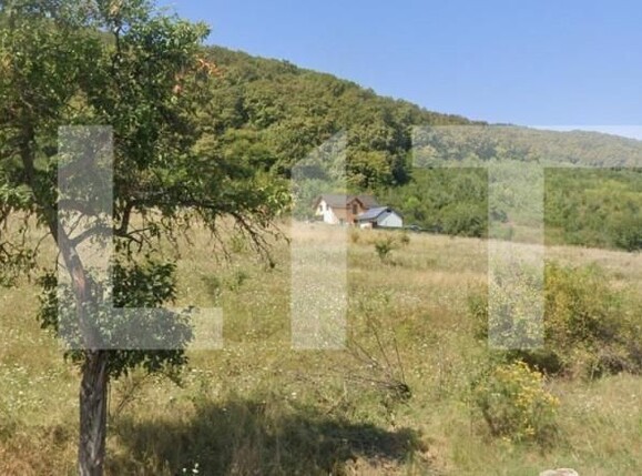 Teren de vânzare Viișoara - 143612TV | BLITZ Bistriţa | Poza1