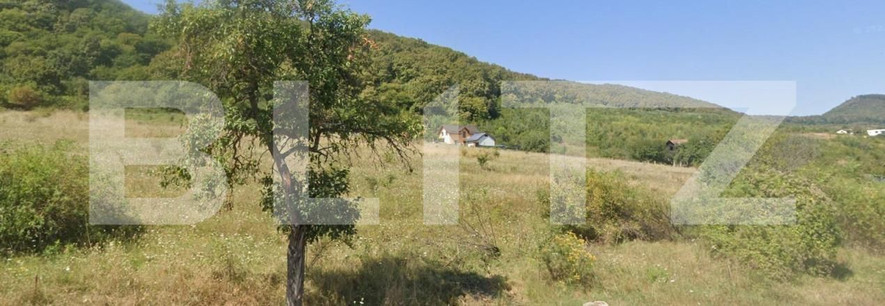Teren de vânzare Viișoara - 143612TV | BLITZ Bistriţa | Poza1