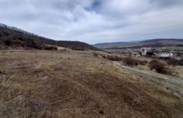 Teren Extravilan, 9000 mp, zona Viisoara