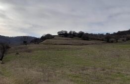 Teren Extravilan, 9000 mp, zona Viisoara