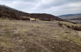 Teren Extravilan, 9000 mp, zona Viisoara