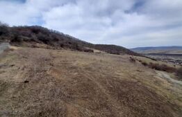 Teren Extravilan, 9000 mp, zona Viisoara