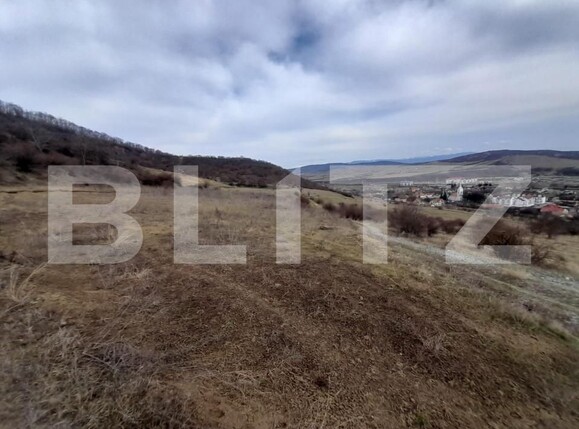 Teren de vânzare Viișoara - 143613TV | BLITZ Bistriţa | Poza2