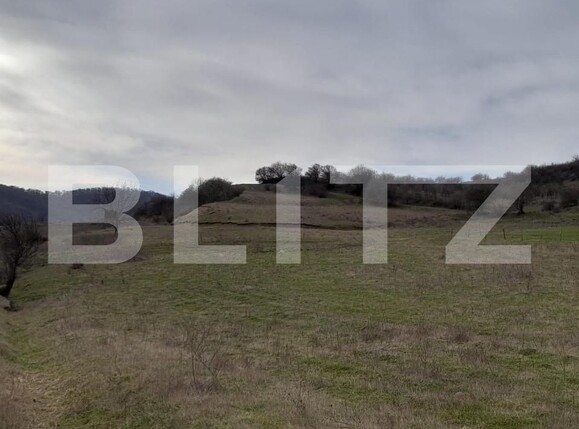 Teren de vânzare Viișoara - 143613TV | BLITZ Bistriţa | Poza1