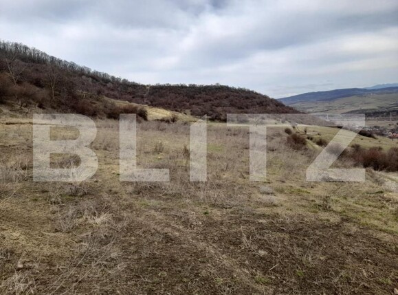 Teren de vânzare Viișoara - 143613TV | BLITZ Bistriţa | Poza4