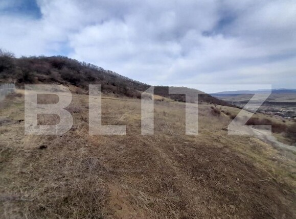 Teren de vânzare Viișoara - 143613TV | BLITZ Bistriţa | Poza3