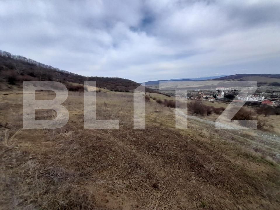 Teren de vânzare Viișoara - 143613TV | BLITZ Bistriţa | Poza2