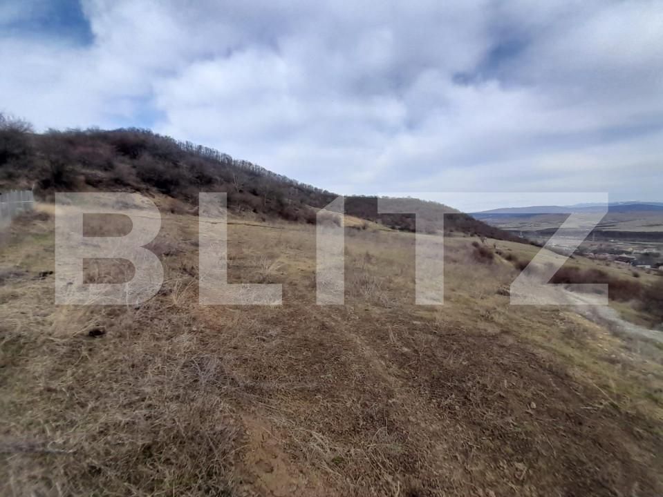 Teren de vânzare Viișoara - 143613TV | BLITZ Bistriţa | Poza3