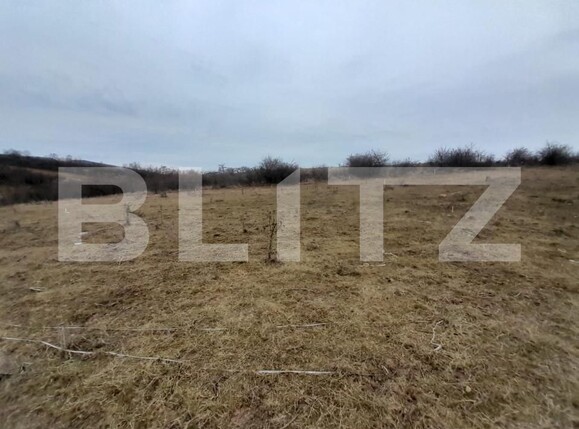 Teren de vânzare Sud-Vest - 143618TV | BLITZ Bistriţa | Poza3