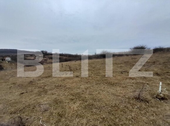Teren de vânzare Sud-Vest - 143618TV | BLITZ Bistriţa | Poza2