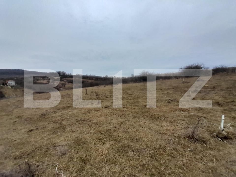 Teren de vânzare Sud-Vest - 143618TV | BLITZ Bistriţa | Poza2