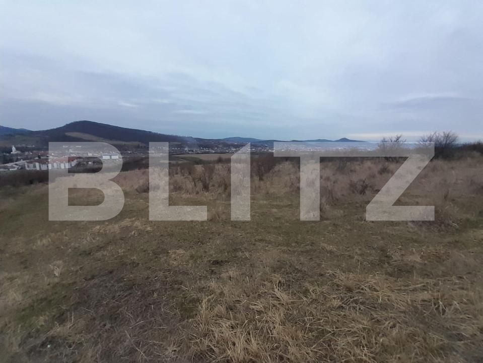 Teren de vânzare Sud-Vest - 143618TV | BLITZ Bistriţa | Poza5