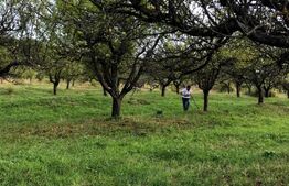 1.07 Ha in Slatinita  De nuci