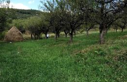 1.07 Ha in Slatinita  De nuci