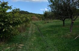 1.07 Ha in Slatinita  De nuci