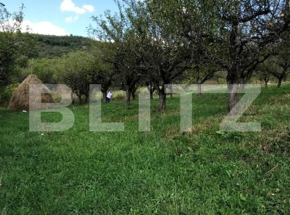 Teren de vânzare Unirea - 143619TV | BLITZ Bistriţa | Poza4