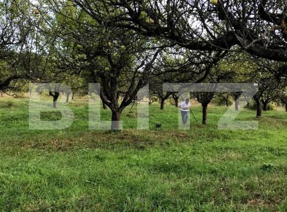 Teren de vânzare Unirea - 143619TV | BLITZ Bistriţa | Poza2